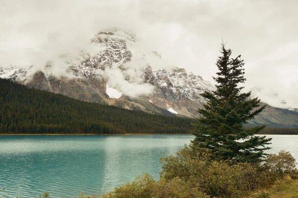 Βουνά και το δάσος στη λίμνη τόξο — Φωτογραφία Αρχείου