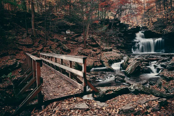 Watervallen van de herfst in park — Stockfoto