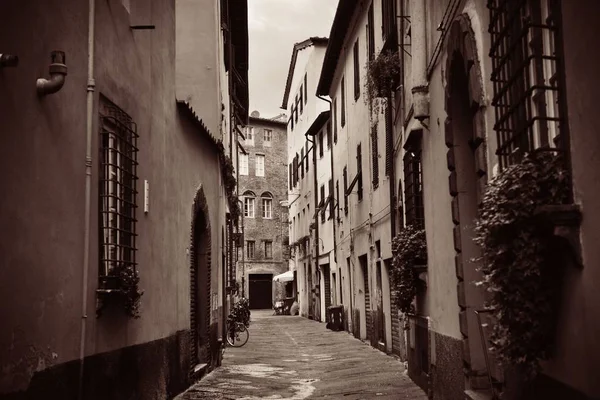 Lucca vista a la calle — Foto de Stock