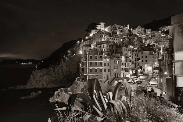 Riomaggiore waterfront black and white night — Stock Photo, Image