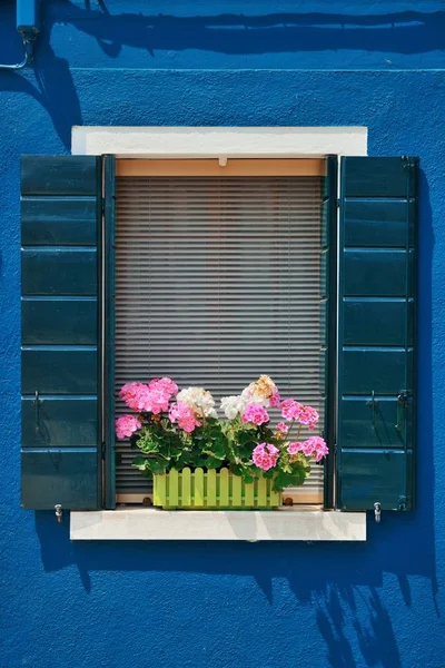 Барвисті Burano крупним планом — стокове фото