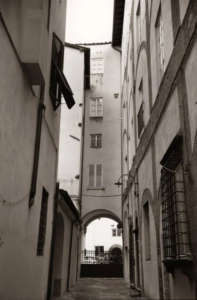 Lucca street view — Stockfoto