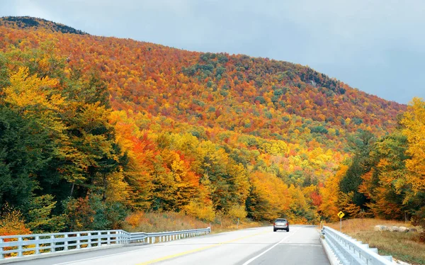 Snelweg en de herfst bladeren — Stockfoto