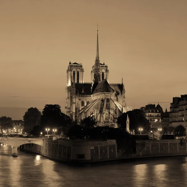 Notre dame de Paris — Stok fotoğraf