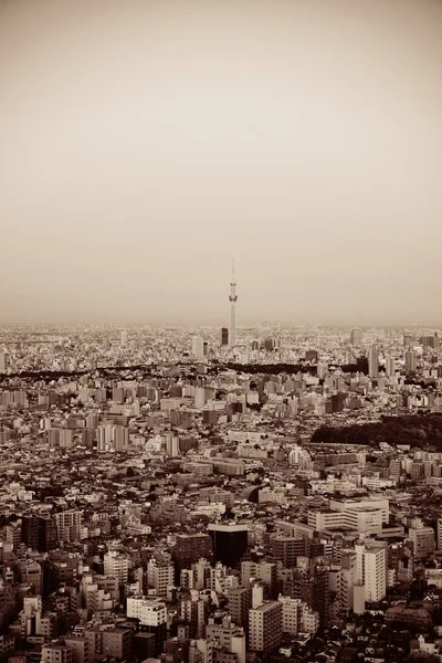 Токійське Небесне та міського горизонту — стокове фото