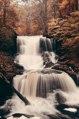 Park sonbahar şelaleler