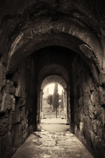 Colosseum em roma, itália. — Fotografia de Stock