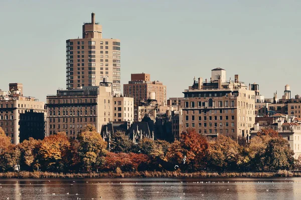 Central park herfst — Stockfoto