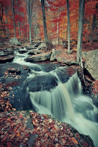 Park sonbahar şelaleler — Stok fotoğraf