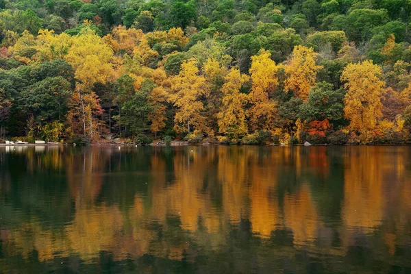 Feuillage coloré d'automne avec lac — Photo