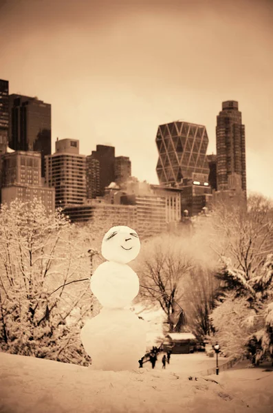 Central park zimą — Zdjęcie stockowe