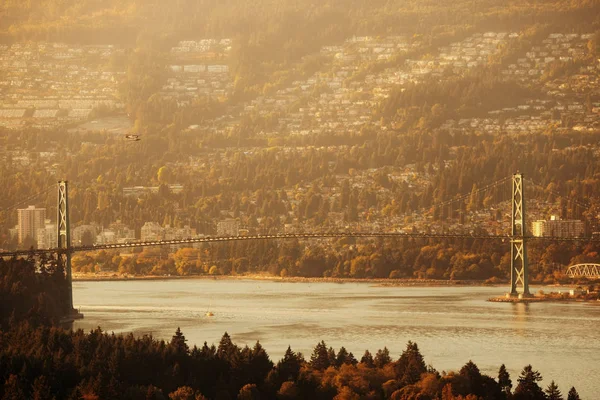 Lions Gate Bridge — Stok fotoğraf