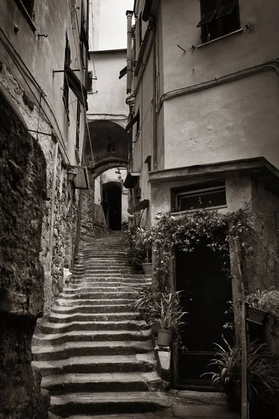 Riomaggiore allee, italien — Stockfoto