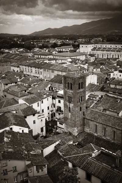 Lucca op het dak weergave met berg — Stockfoto