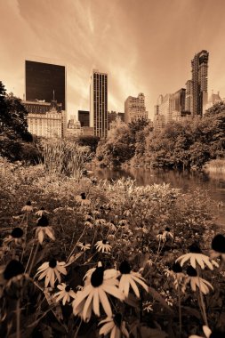 Central Park midtown Manhattan, New York şehir manzarası ile bahar çiçekleri ile