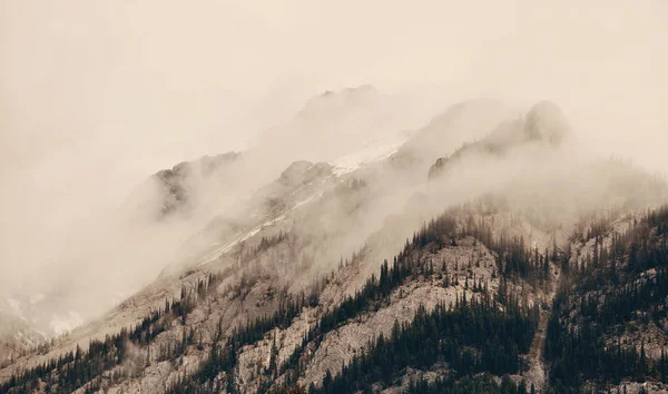 Parco Nazionale Banff Montagne Nebbiose Foresta Canada — Foto Stock