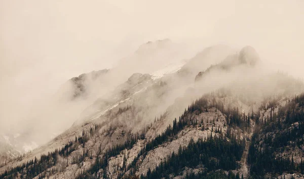 Banff Nationaal Park Mistige Bergen Bos Canada — Stockfoto