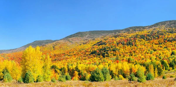 Sonbahar Dağları Ormanlarıyla Stowe Kırsal Manzarası — Stok fotoğraf