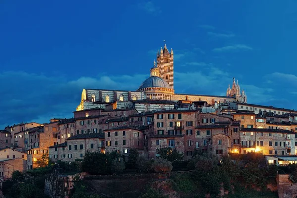 Medeltida Stadsutsikt Med Sienas Katedral Och Historiska Byggnader Italien Natten — Stockfoto