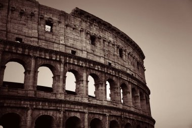 Kolezyum Roma tek renkli