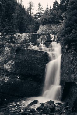 Banff Ulusal görünümünde, dağ ve orman Kanada şelale.