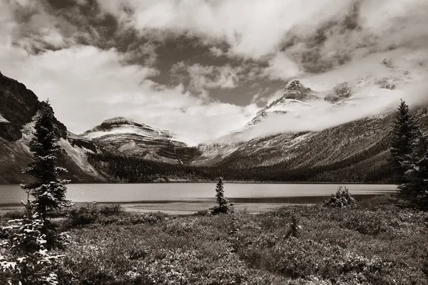 Jezero Bow Sněhem Limitován Hory Les Národním Parku Banff — Stock fotografie