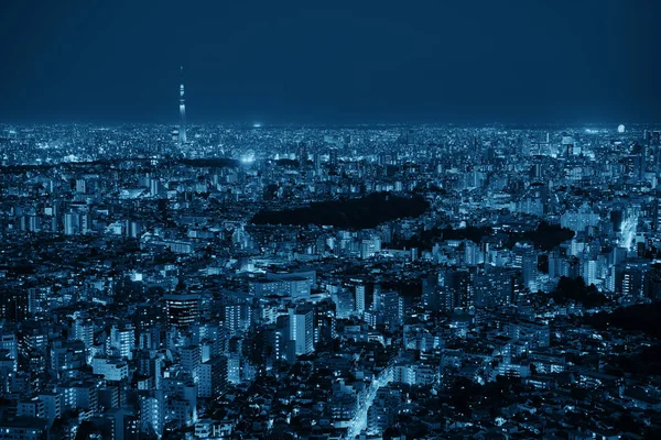 東京スカイツリーと都市スカイライン屋上からの夜景 — ストック写真