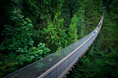 Vancouver, Kanada 'daki Capilano Askı Köprüsü.