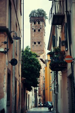 Lucca sokak manzaralı Torre Alberata İtalya 'da