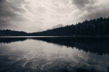 Herbert Lake forest lake yansıma ve dağ ile