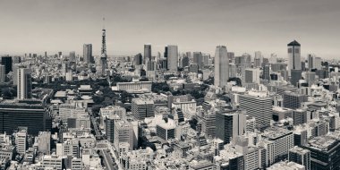 Tokyo Kulesi ve şehir siluet çatısı manzarası, Japonya.