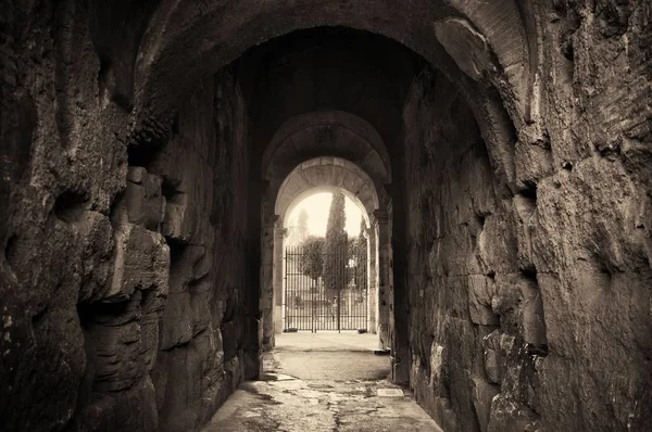 Colosseum i Rom — Stockfoto