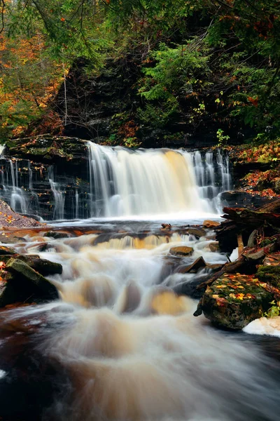 Cascades Automne Dans Parc Avec Feuillage Coloré — Photo