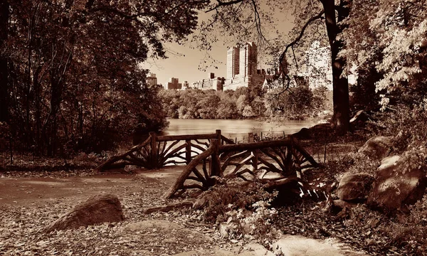Central Park Herbst Und Gebäude Midtown Manhattan New York City — Stockfoto