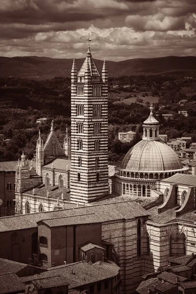 Ciudad Medieval Con Catedral Siena Vista Horizonte Italia —  Fotos de Stock