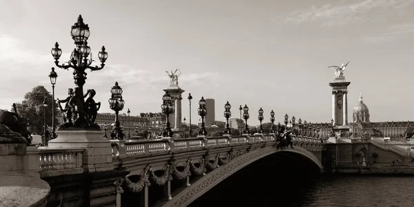 Alexandre Iii Bro Och Floden Seine Panorama Paris Frankrike — Stockfoto