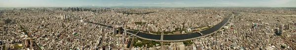 Vista Azotea Del Horizonte Urbano Tokio Con Río Monte Fuji —  Fotos de Stock