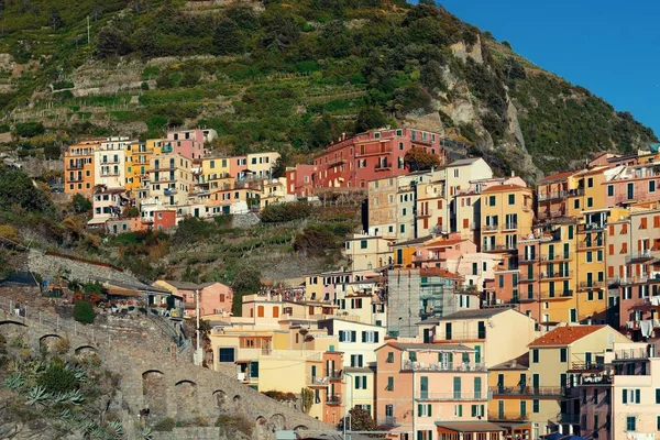 Итальянский Стиль Жилых Зданий Скалой Манарола Cinque Terre Италия — стоковое фото