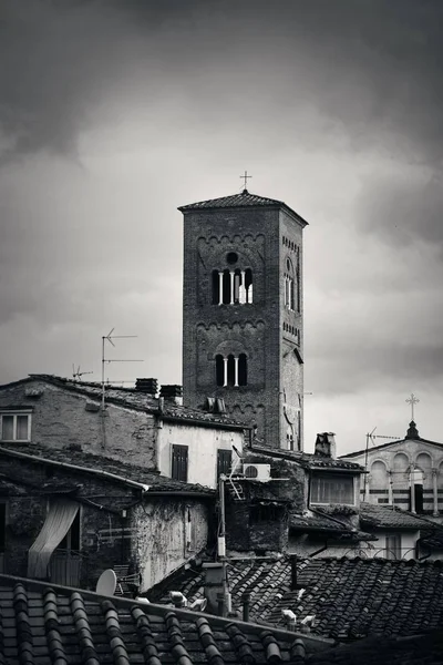 Věž Chiesa San Pietro Střechami Historických Budov Lucca Itálie — Stock fotografie