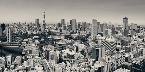 Tokyo Tower Und Städtische Skyline Von Der Dachterrasse Japan — Stockfoto