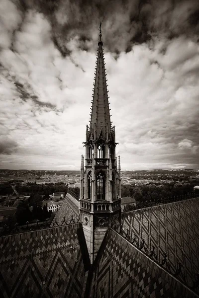 チェコ共和国の聖ヴィート大聖堂とプラハ城 — ストック写真