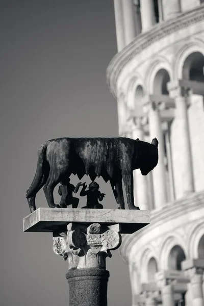 Pisa Kulesi Capitoline kurt yaslanmış — Stok fotoğraf