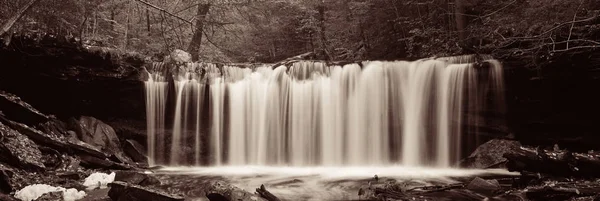 Wasserfälle Wald Schwarz Weiß Panorama — Stockfoto