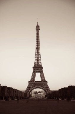 Paris 'in ünlü şehir simgesi olarak çimenli Eyfel Kulesi