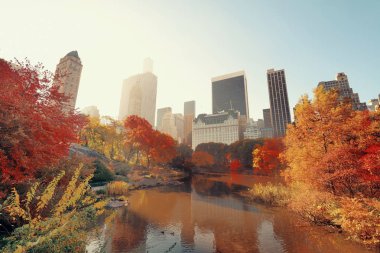 Central Park 'ta sabah güneşiyle ve New York' ta sonbaharda gökdelenlerle.