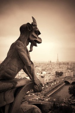 Notre-Dame Katedrali 'nin Paris çatı manzarası.
