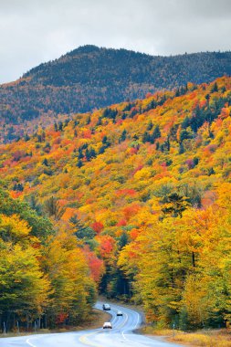 White Mountain, New Hampshire 'da otoban ve sonbahar yeşillikleri.