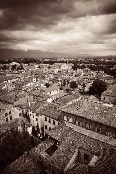 Widok Dach Lucca Czerwonymi Dachami Zabytkowych Budynków Pasma Górskiego Włoszech — Zdjęcie stockowe