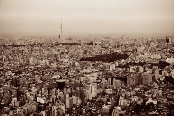 Tokyo Skytree Skyline Urbain Vue Sur Toit Coucher Soleil Japon — Photo