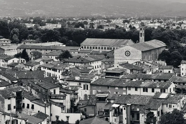 Lucca Město Panorama Střešní Okno Itálii — Stock fotografie